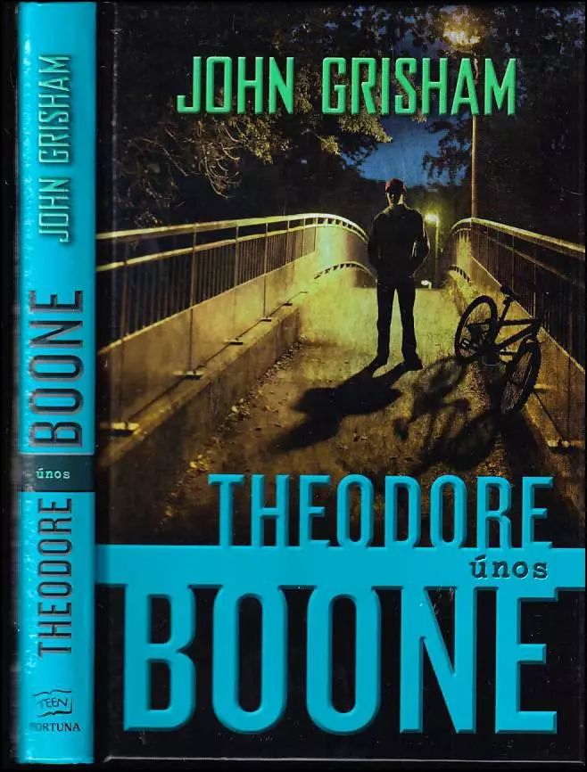 Theodore Boone : únos