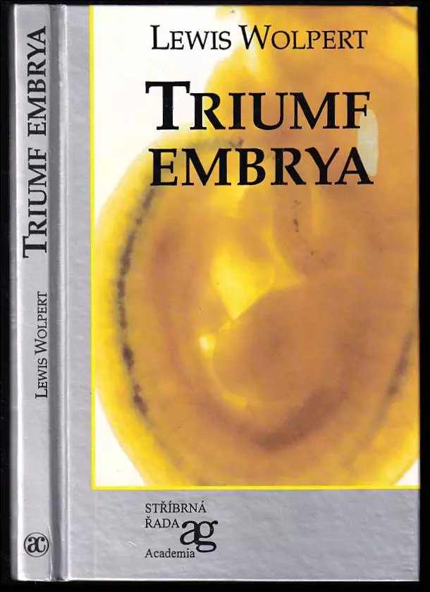 Triumf embrya