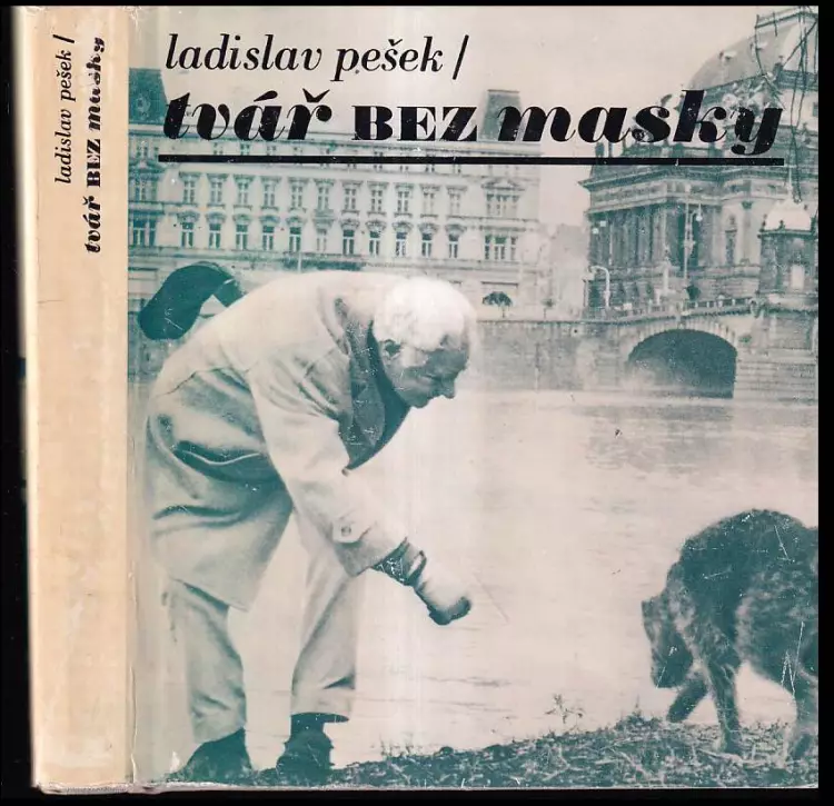 Tvář bez masky : (Skutečnost a sen)