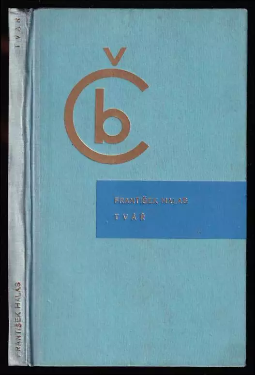 Tvář