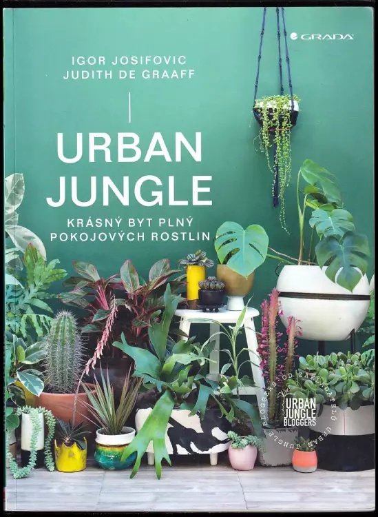 Urban jungle : krásný byt plný pokojových rostlin
