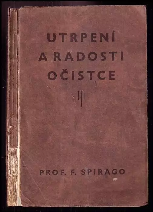 Utrpení a radosti očistce