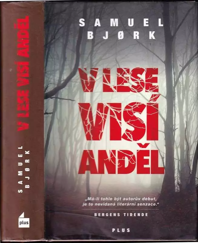 V lese visí anděl
