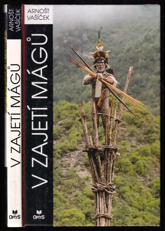 V zajetí mágů