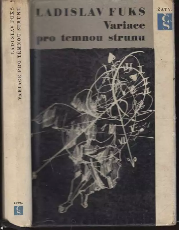 Variace pro temnou strunu