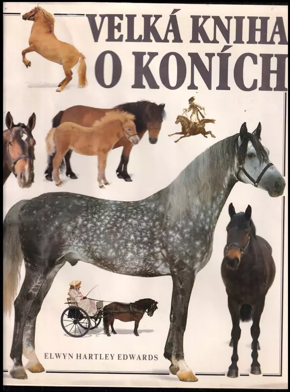 Velká kniha o koních