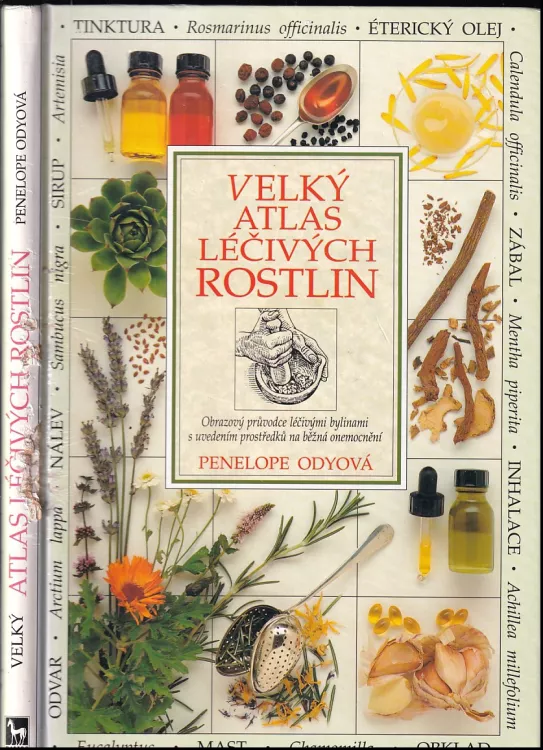Atlas Lecivych Bylin