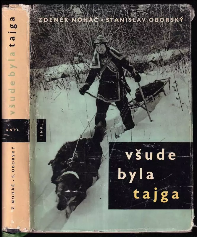 Všude byla tajga