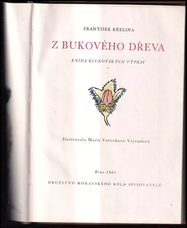 Z bukového dřeva : kniha klukovských výprav