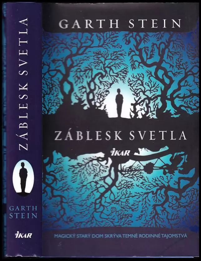 Záblesk svetla : [magický starý dom skrýva temné rodinné tajomstvá]