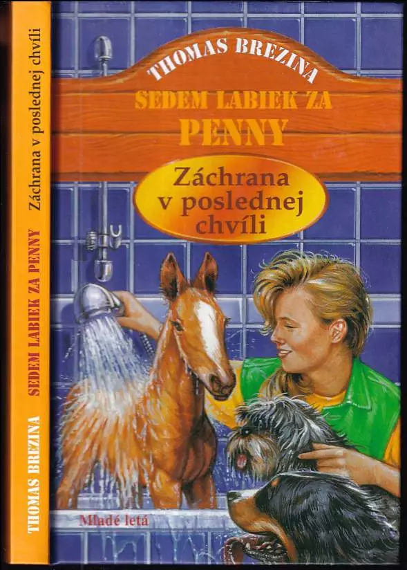 Záchrana v poslednej chvíli
