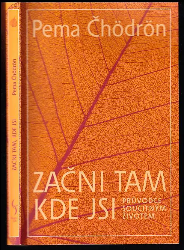 Začni tam, kde jsi : průvodce soucitným životem
