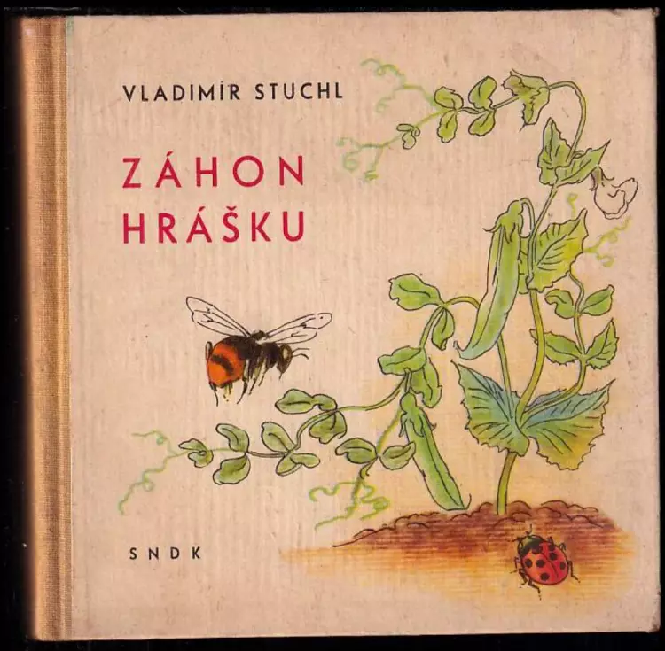 Záhon hrášku : Pro předškolní věk