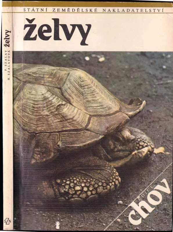 Želvy