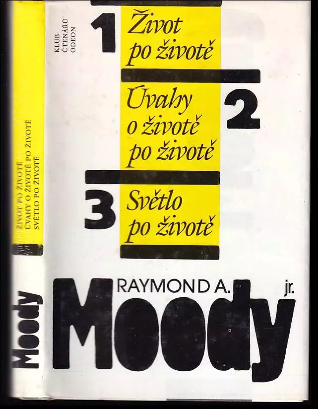 Život po životě - Úvahy o životě po životě - Světlo po životě