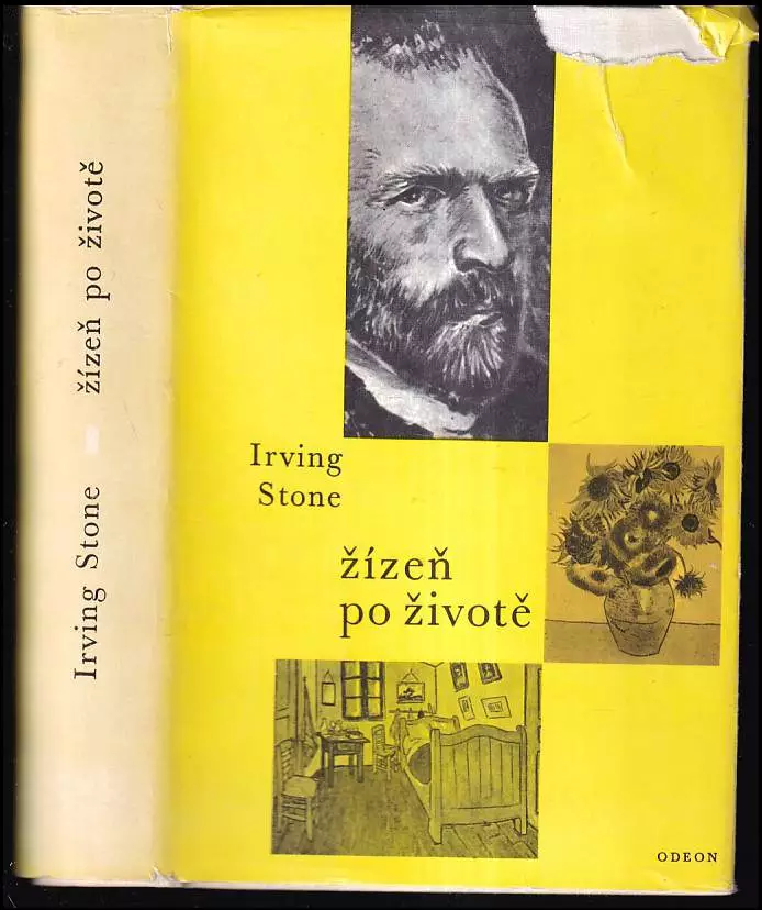 Žízeň po životě - román o Vincentu van Goghovi