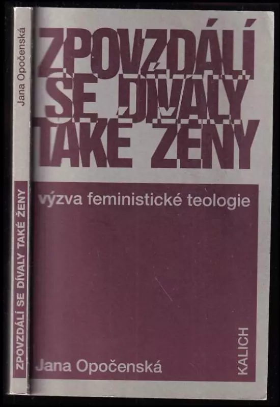 Zpovzdálí se dívaly také ženy : výzva feministické teologie