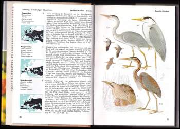 Karel Drchal: Welcher Vogel ist das?