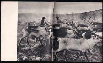 Anna Fárová: Werner Bischof, 1916-1954