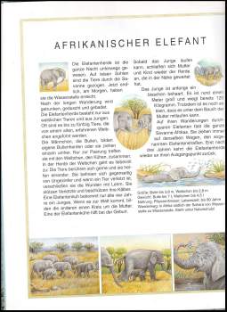 Susanne Riha: Wir machen eine weite Reise