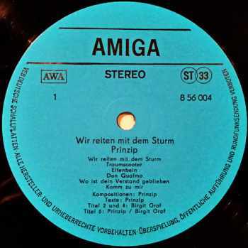 Prinzip: Wir Reiten Mit Dem Sturm