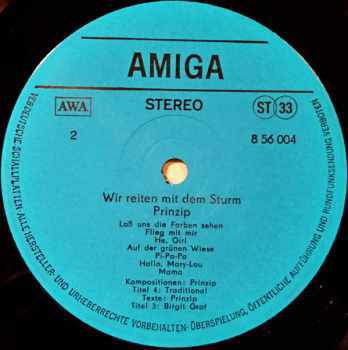 Prinzip: Wir Reiten Mit Dem Sturm