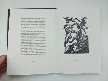 Jaromír Typlt: Wíra w únawu