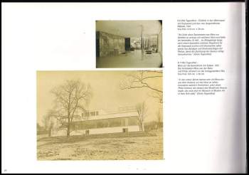 Wohnen in Mies van der Rohes Villa Tugendhat