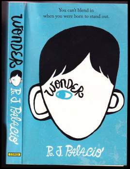 Wonder