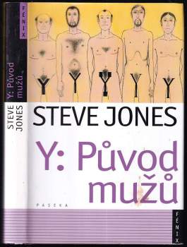 Y - původ mužů