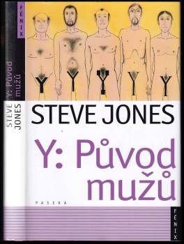 Y - původ mužů