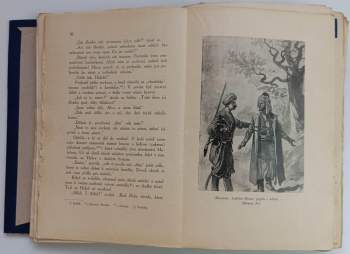 Karl May: Z Bagdadu do Stambulu