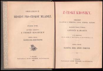 Mikoláš Aleš: Z české kroniky