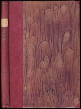 Lev Borský: Z civilního generálního štábu