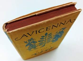 Avicenna: Z díla