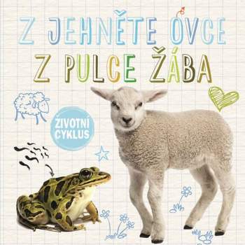 Z jehněte ovce ; Z pulce žába