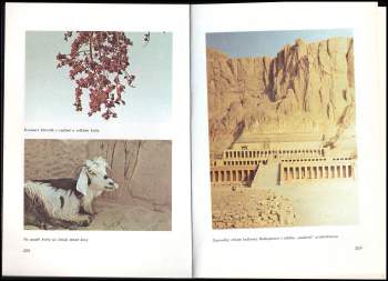 Karel Rataj: Z Kilimandžára na Saharu