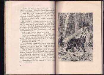 Stanislav Reiniš: Z lovů na Slovensku