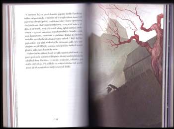 Karolína Skácelová: Z pera knihomolů