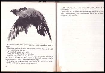 Rudo Moric: Z poľovníckej kapsy