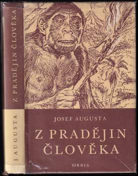 Z pradějin člověka