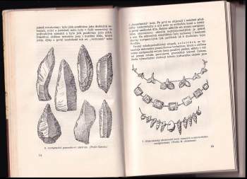 Josef Augusta: Z pradějin člověka