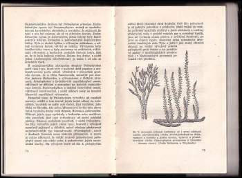 Josef Augusta: Z pradějin tvorstva