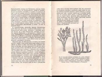 Josef Augusta: Z pradějin tvorstva