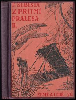 Pavel Šebesta: Z přítmí pralesa