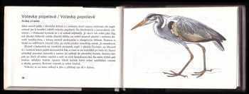 Jaroslav Spirhanzl-Duriš: Z ptačí říše