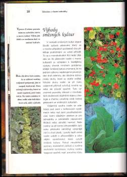 Susanne Bruns: Z receptáře naší babičky