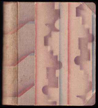 Antonín Matěj Píša: Směry a cíle