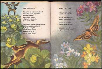 Leontina Mašínová: Z teplých pelíšků