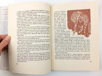 Dhan Gopal Mukerji: Za Kárím v indické džungli